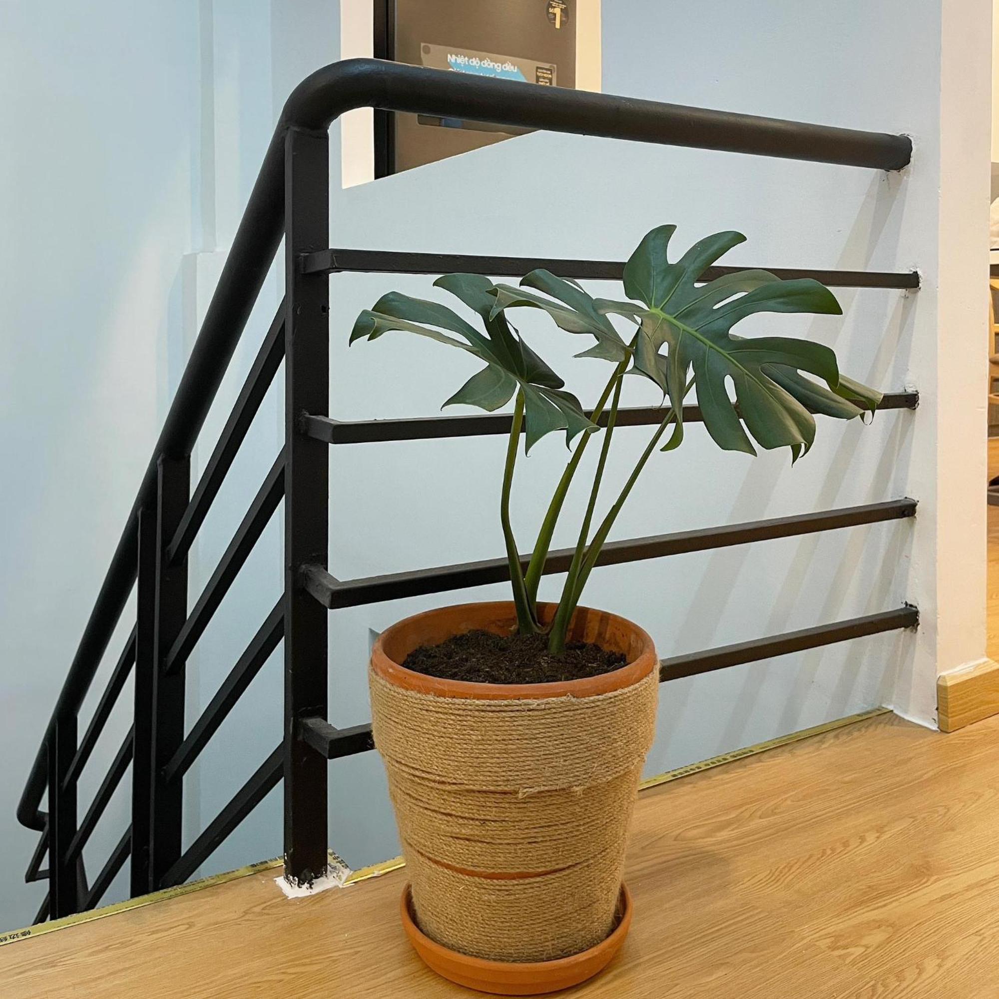 Alphabet Home Capsule Ho Chi Minh Zewnętrze zdjęcie